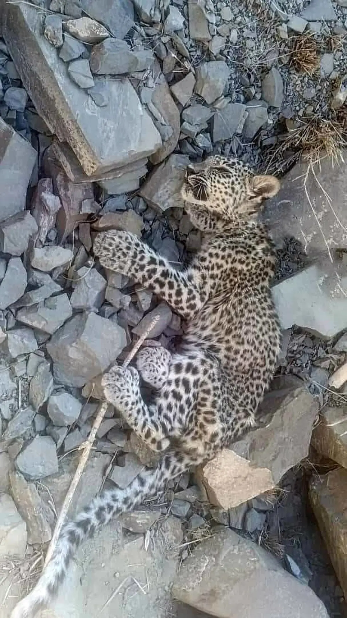 WhatsApp+Image+2025-11-20+at+9.22.36+PM