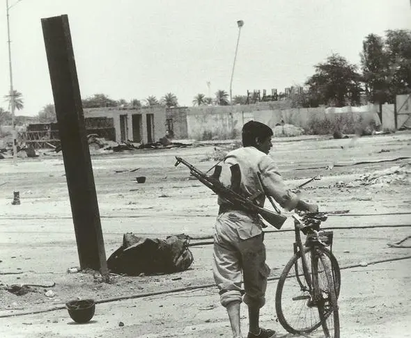 گودزی