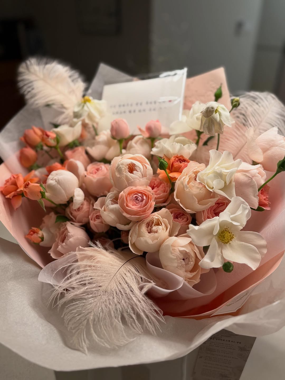 photo_2025-10-29_15-50-07