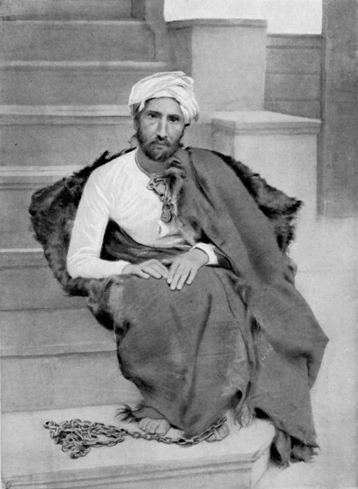 میرزارضای کرمانی