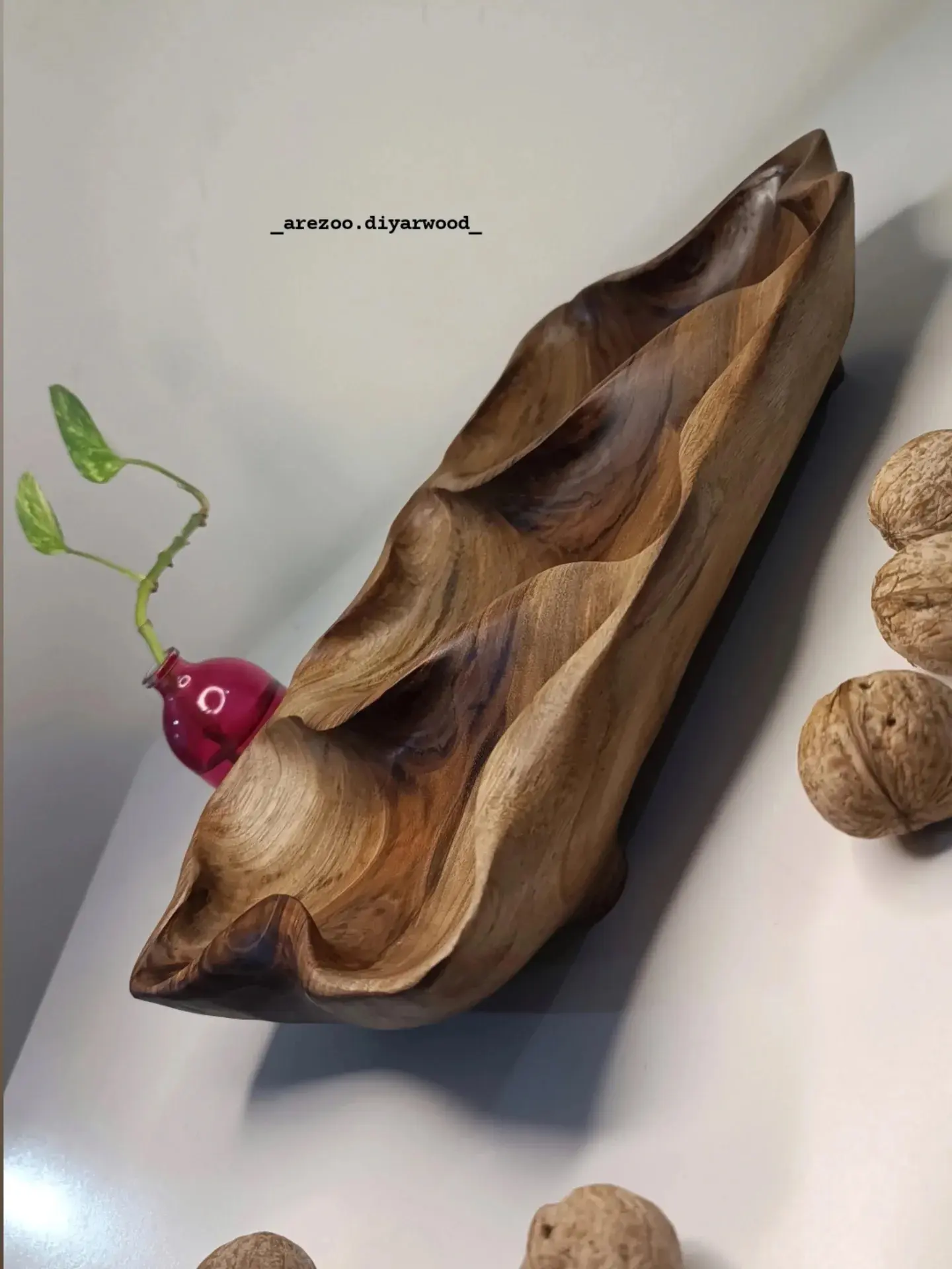 آرزو خداکرمی روستیک (10)