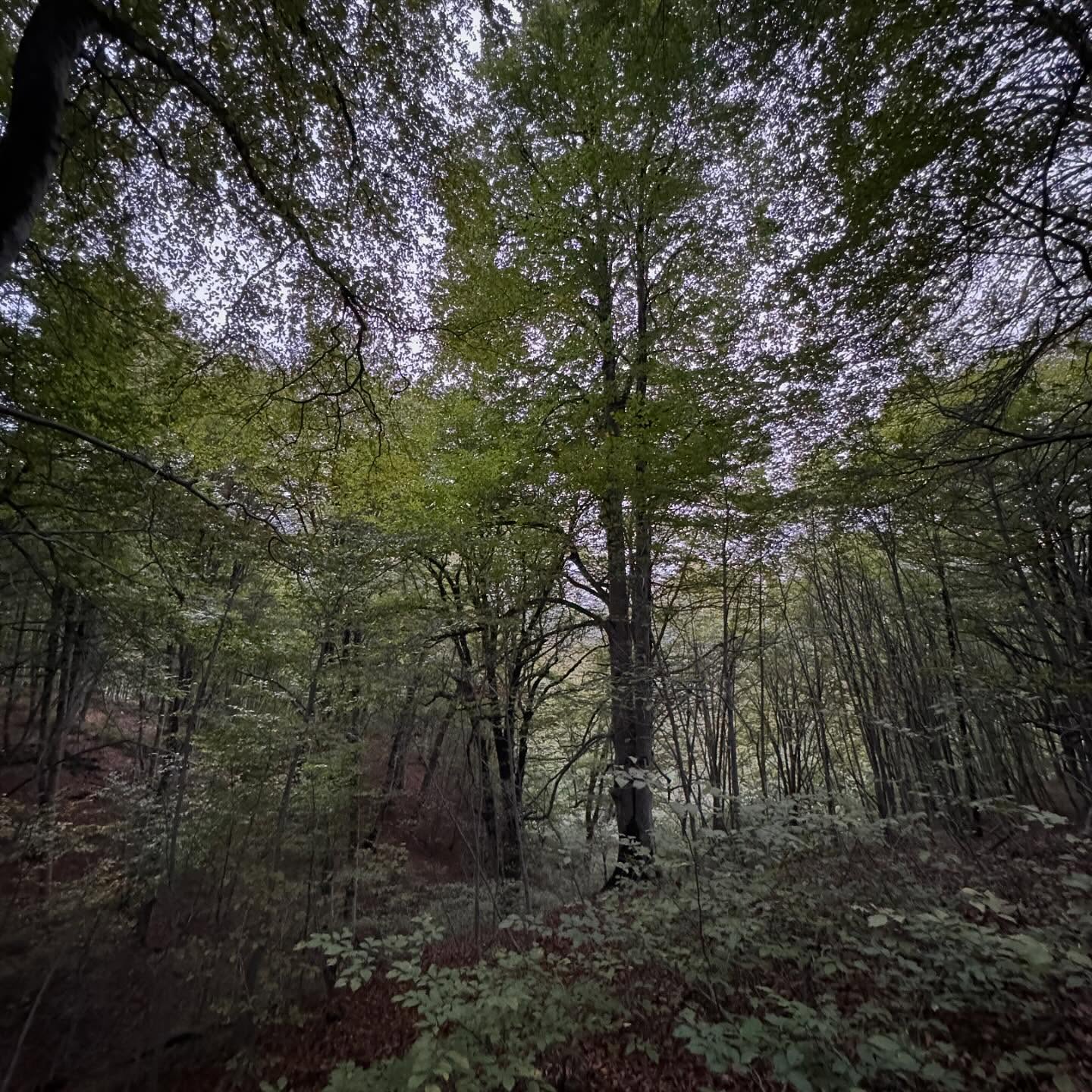 photo_2025-11-07_12-15-07