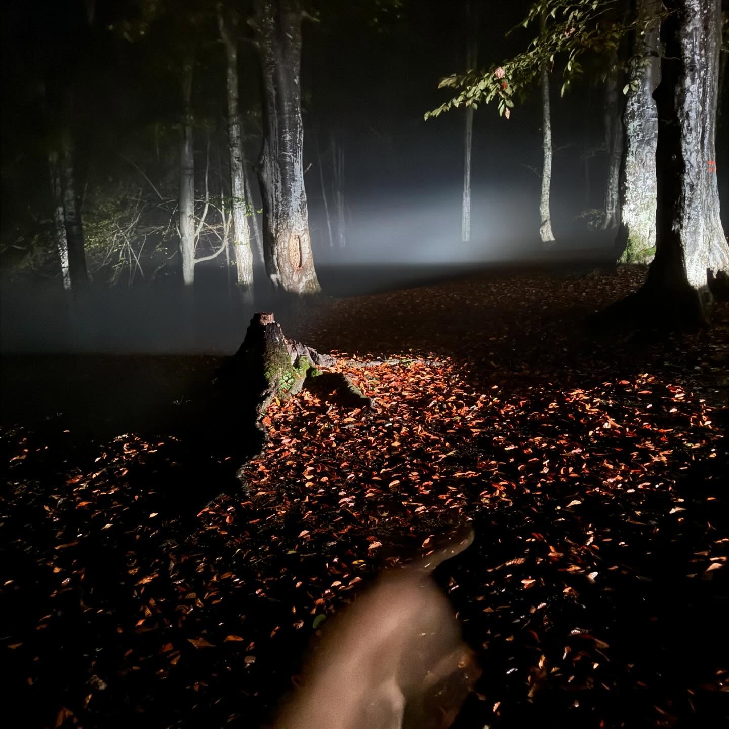 photo_2025-11-07_12-15-05