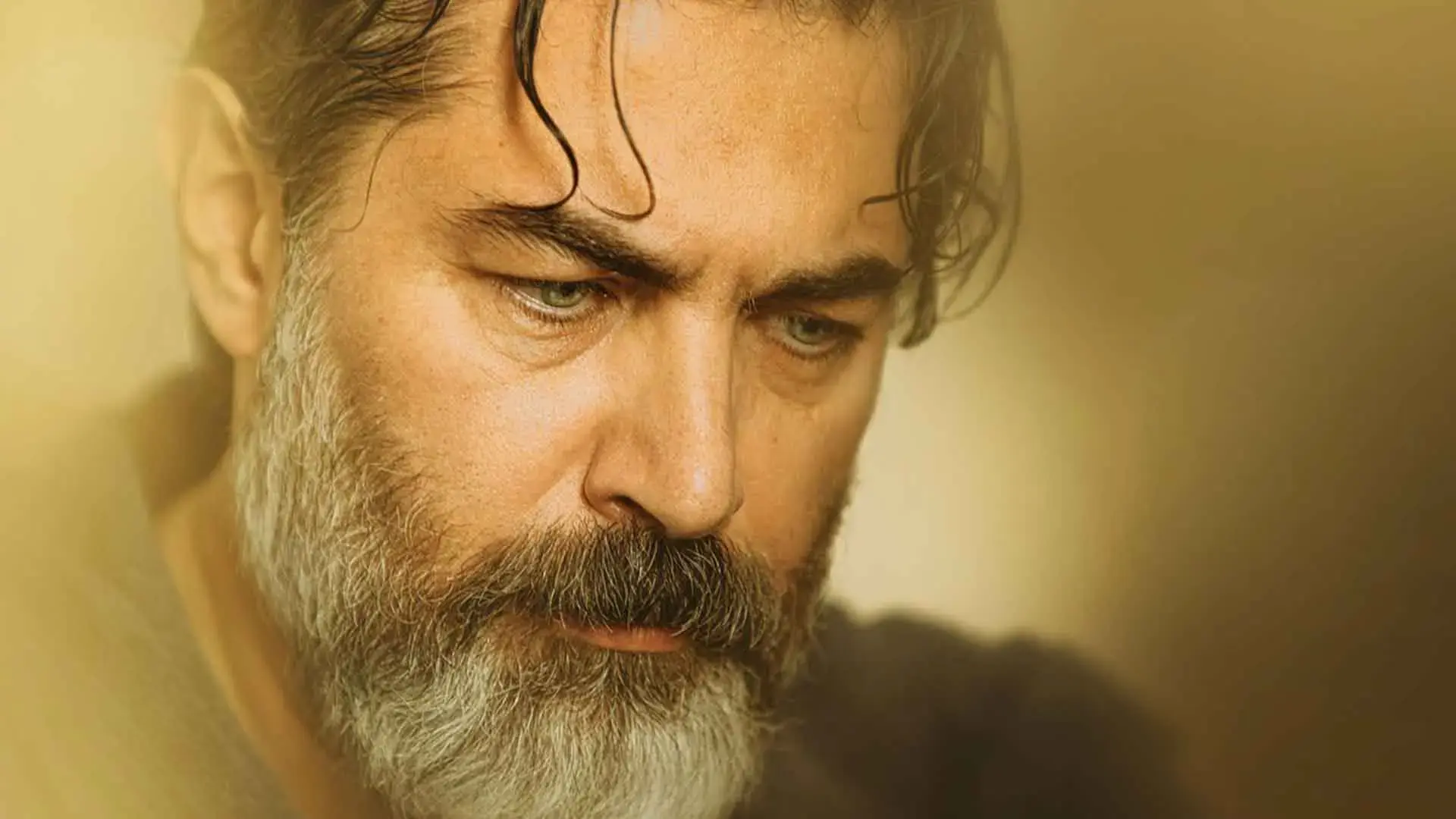 سریال نمایش خانگی2
