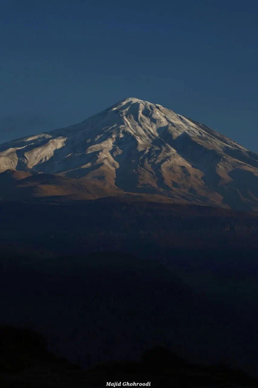 IMG_20251118_093218_381