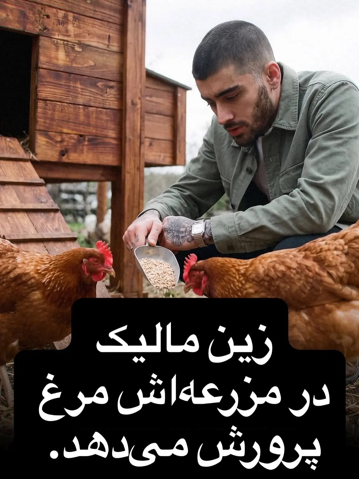 سرگرمی های سلبریتی ها