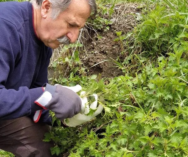 بیوگرافی مهران رجبی