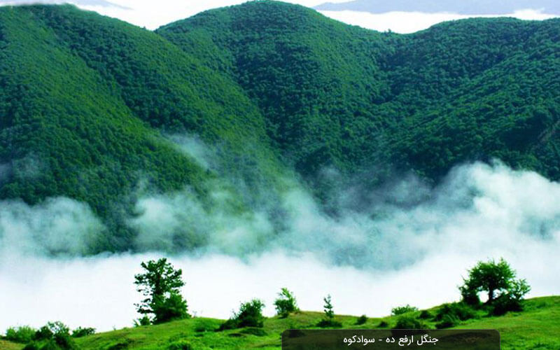 روستای ارفع ده