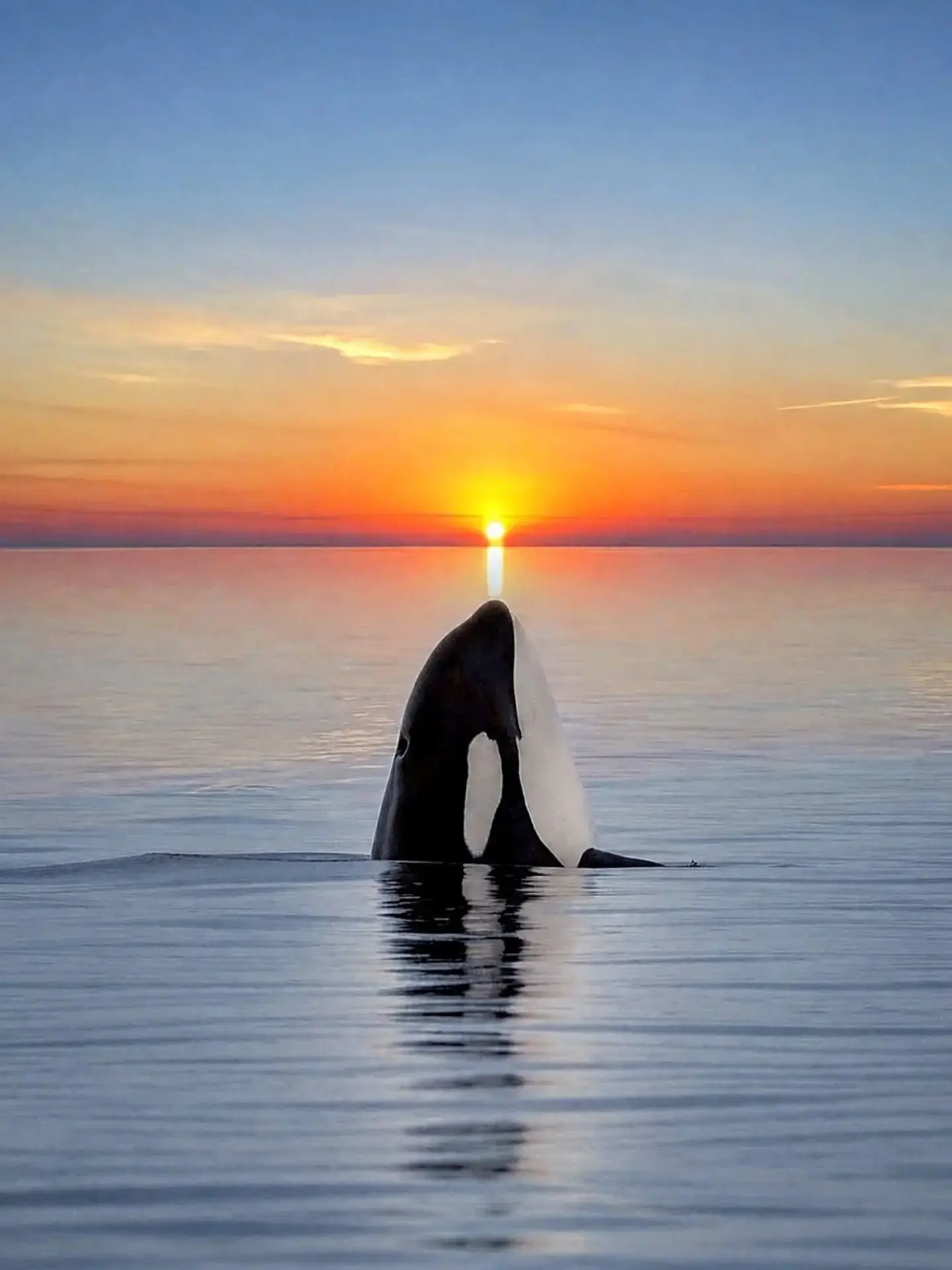 6005