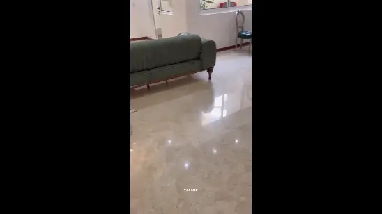 آرام جعفری (2)