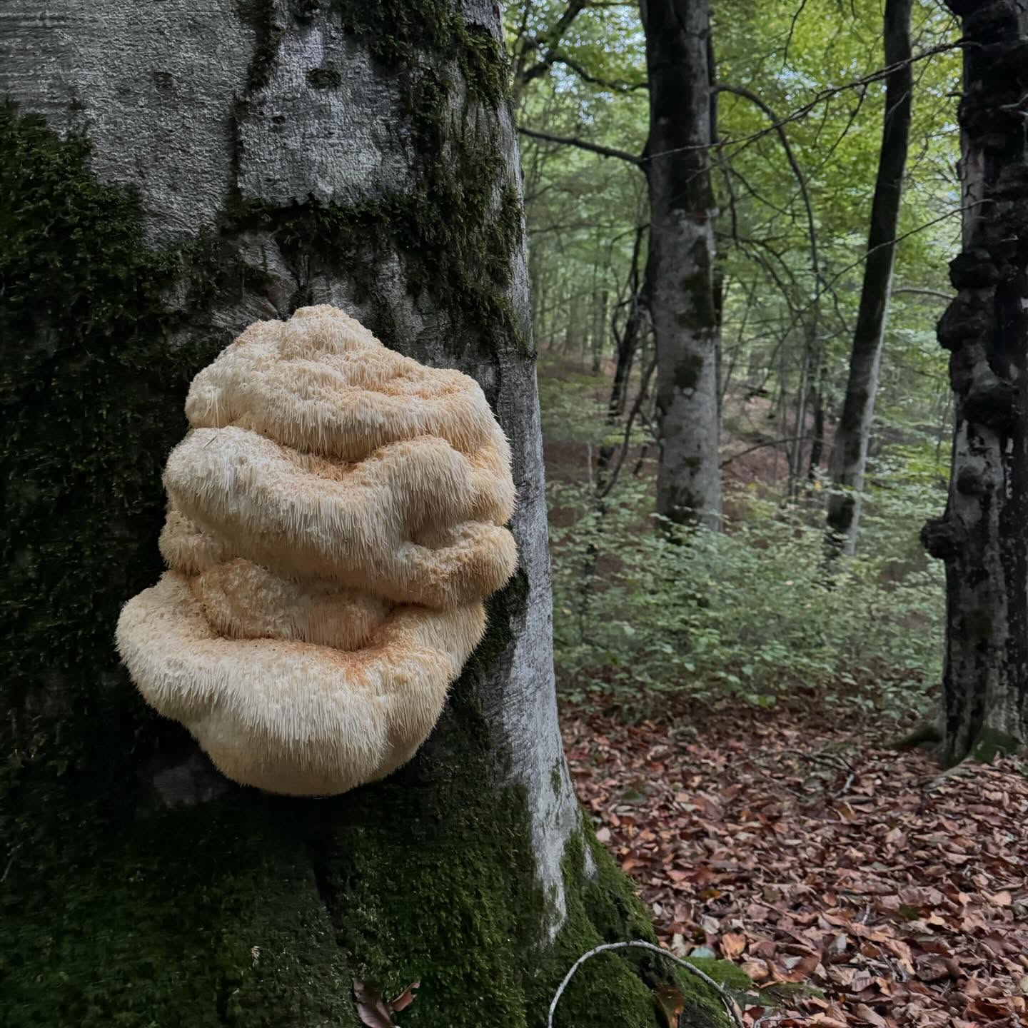 photo_2025-11-07_12-15-04