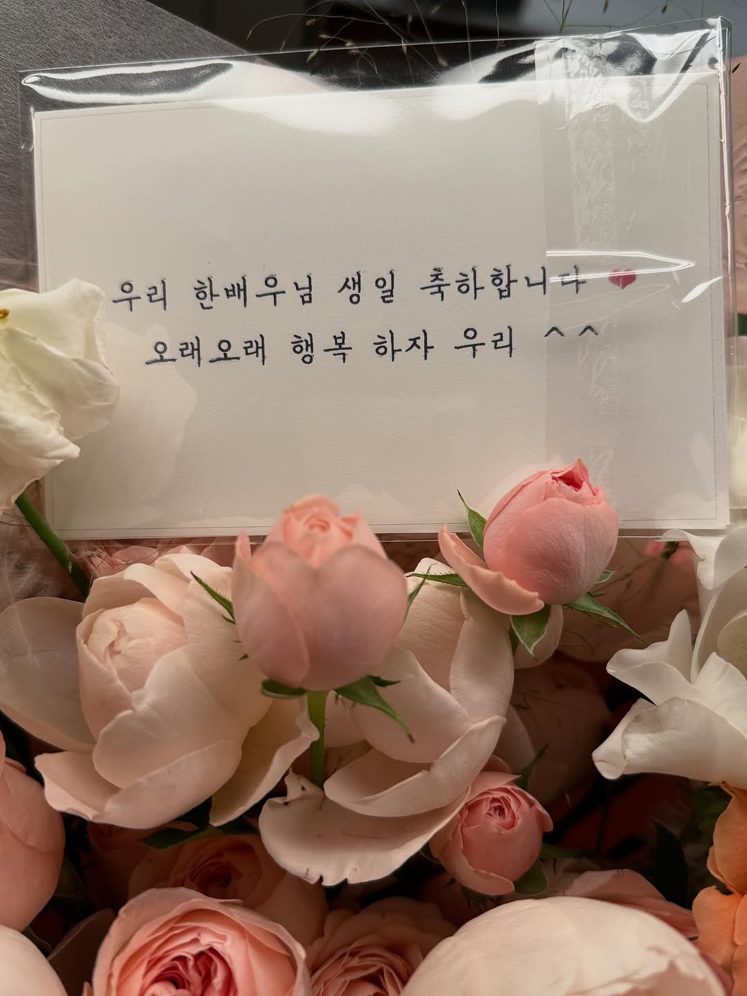 photo_2025-10-29_15-50-06