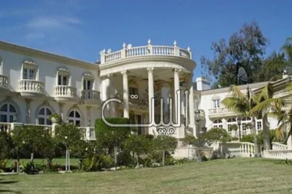 نانسی عجرم