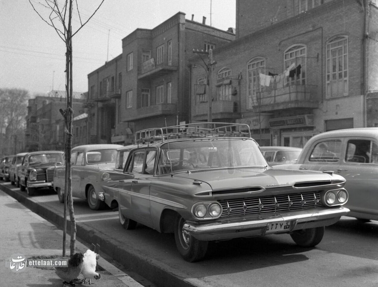 خیابان‌های تهران پیش از تولد پیکان.۶۰ سال پیش قبل از افتتاح کارخانجات خودروسازی ایرانی بازار خودروی سواری به تولیدات خارجی اختصاص داشت.