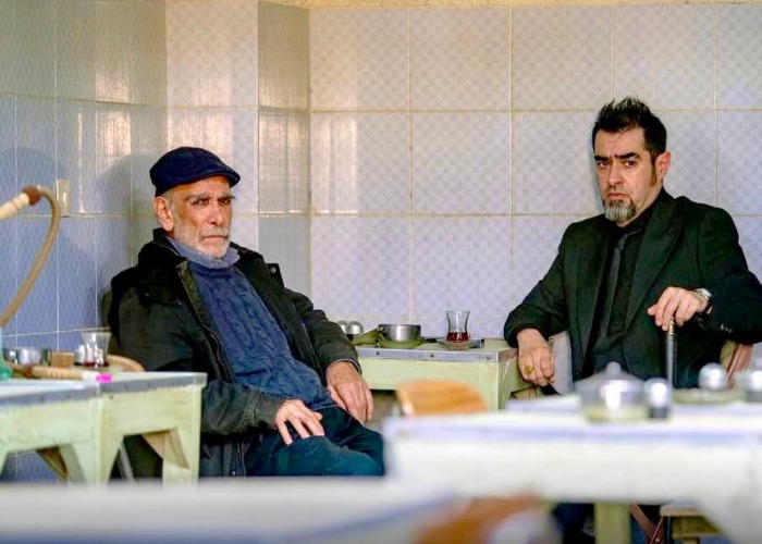 حسین محجوب