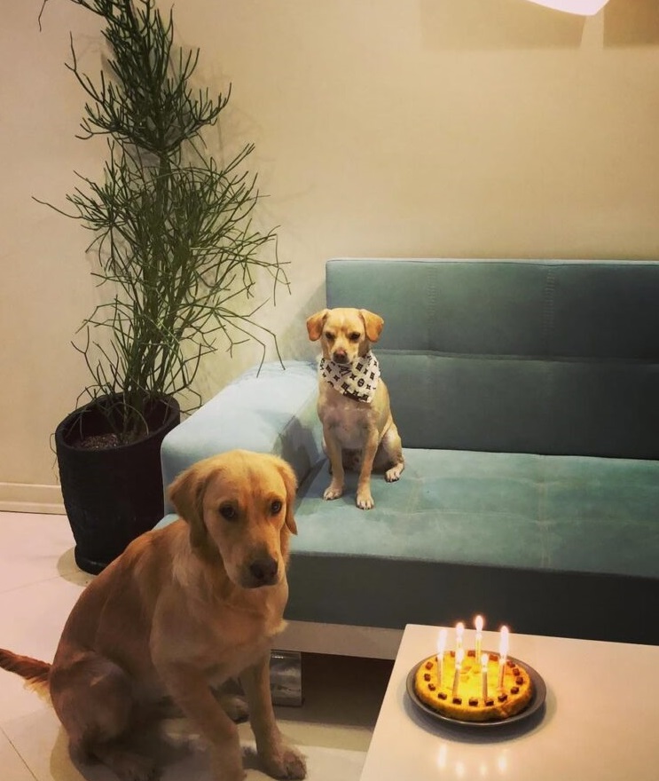 toldt-mbark-psr-bzrghbrlyntold-symba-kh-oash-kyk-d-768x960