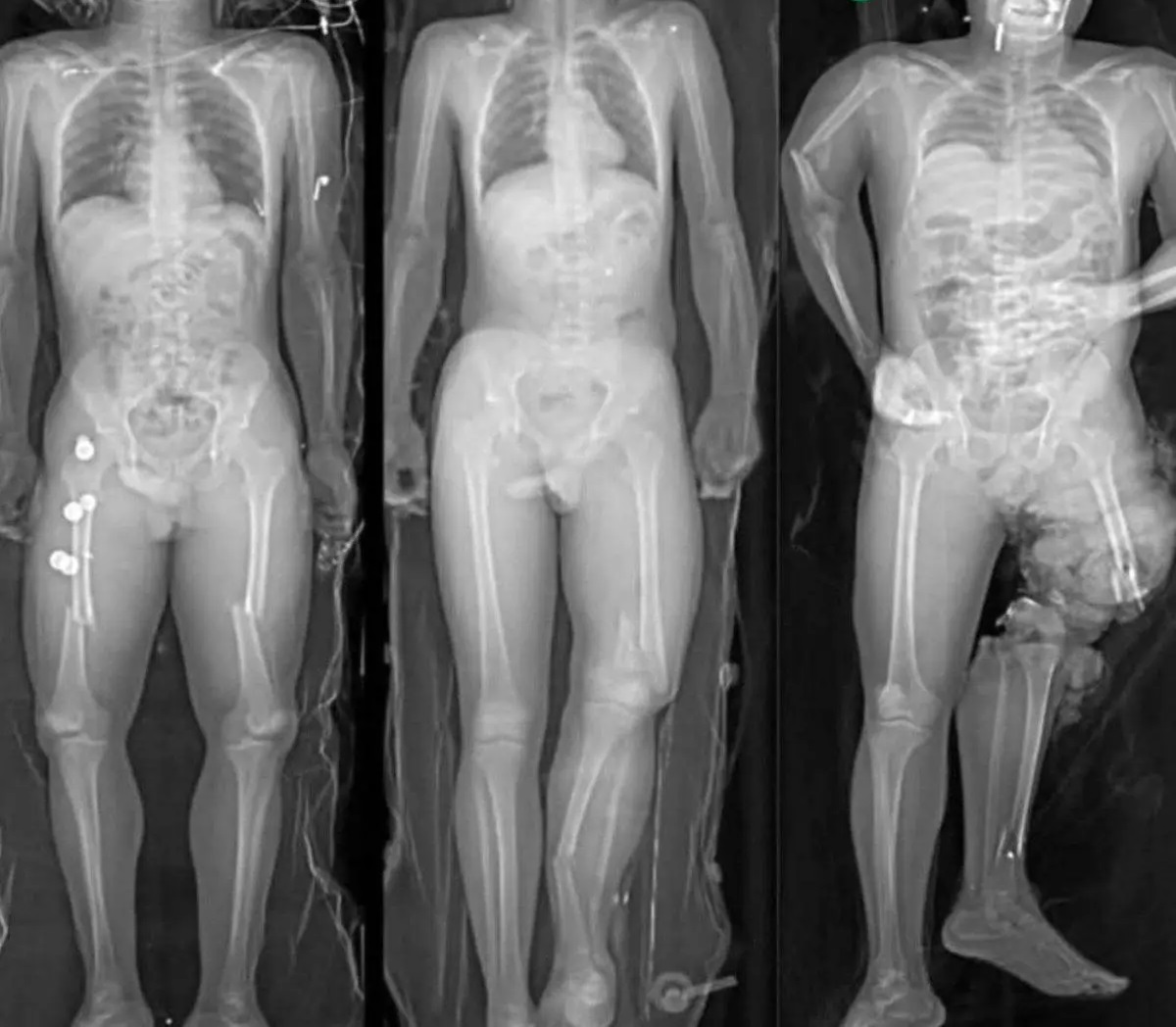 photo_2025-11-06_11-22-00