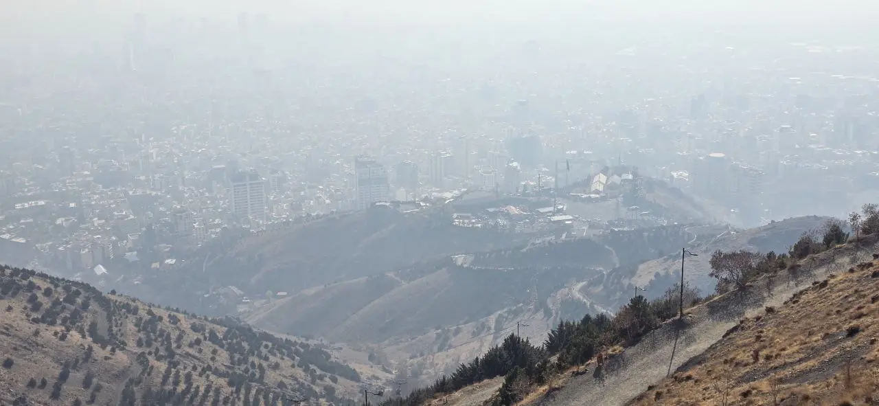 photo_2025-11-21_12-29-12