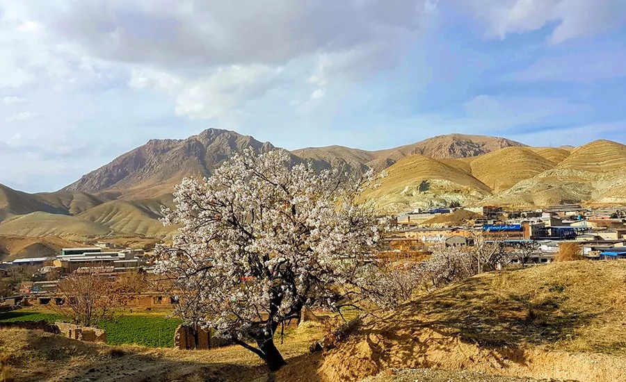 پارک جنگلی خجیر