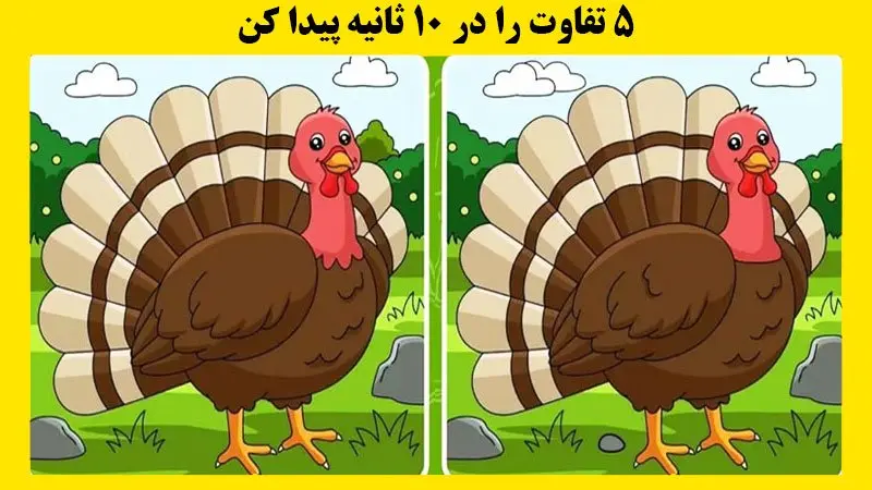 سوال