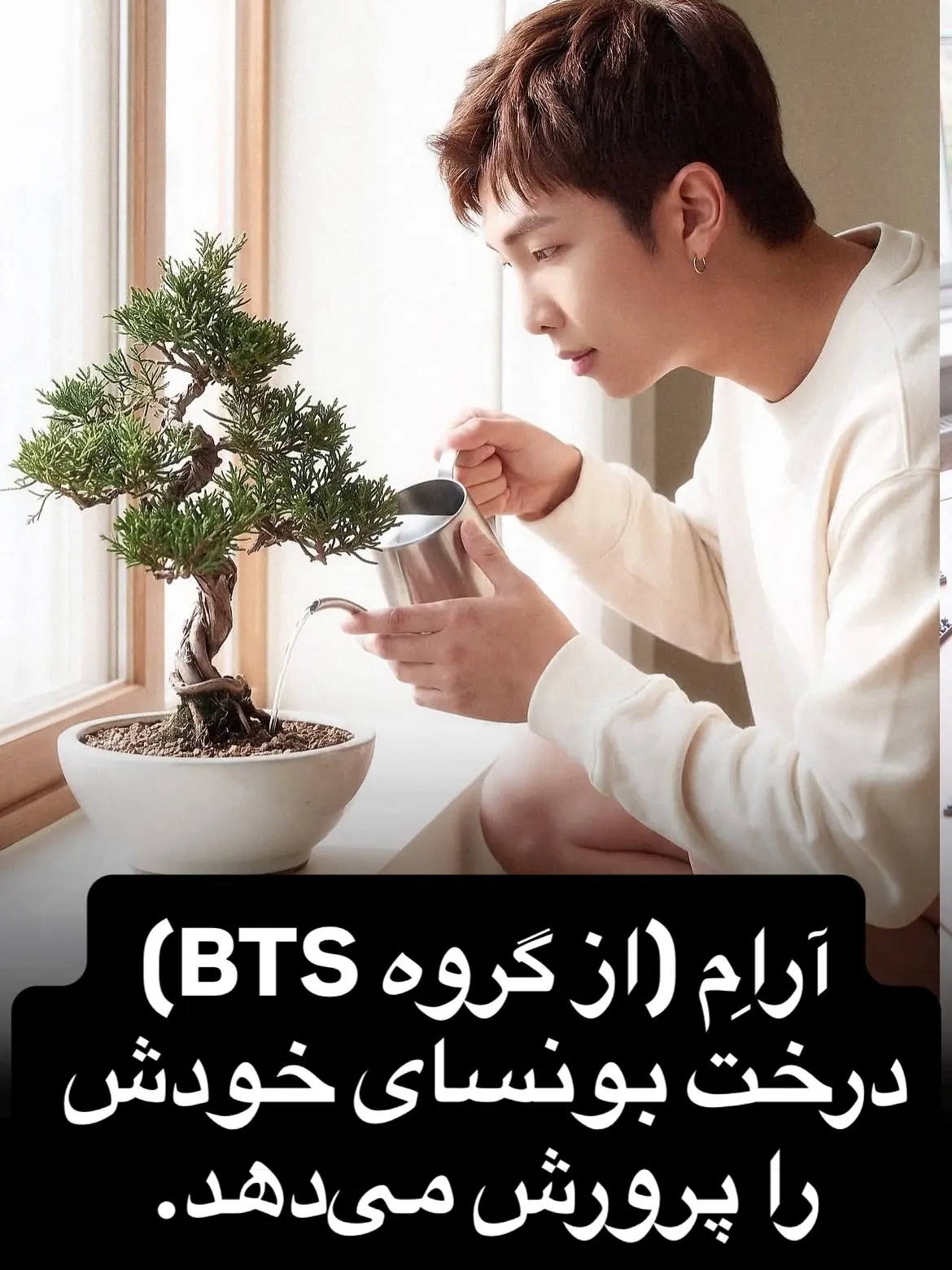 سرگرمی های سلبریتی ها