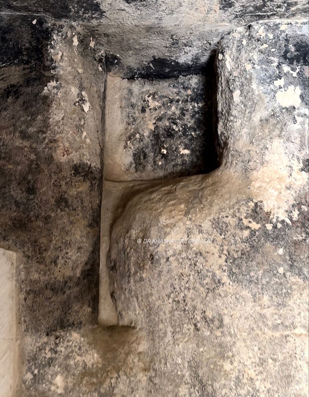 IMG_20251029_104515_477