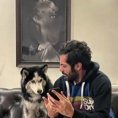 نوید پورفرج