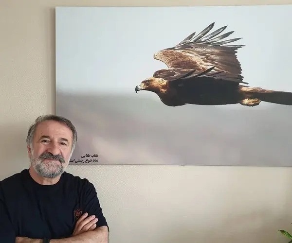 بیوگرافی مهران رجبی