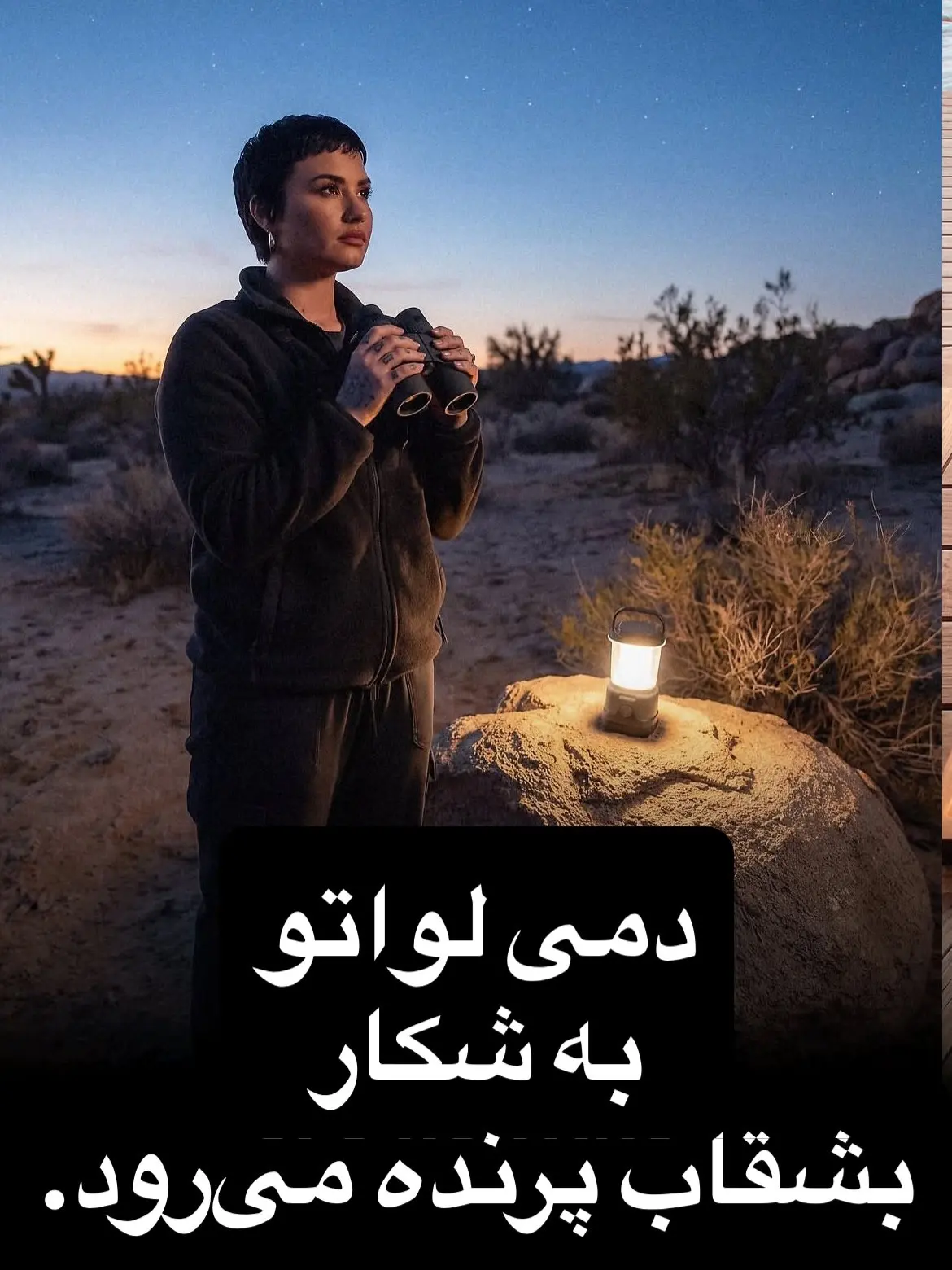 سرگرمی های سلبریتی ها