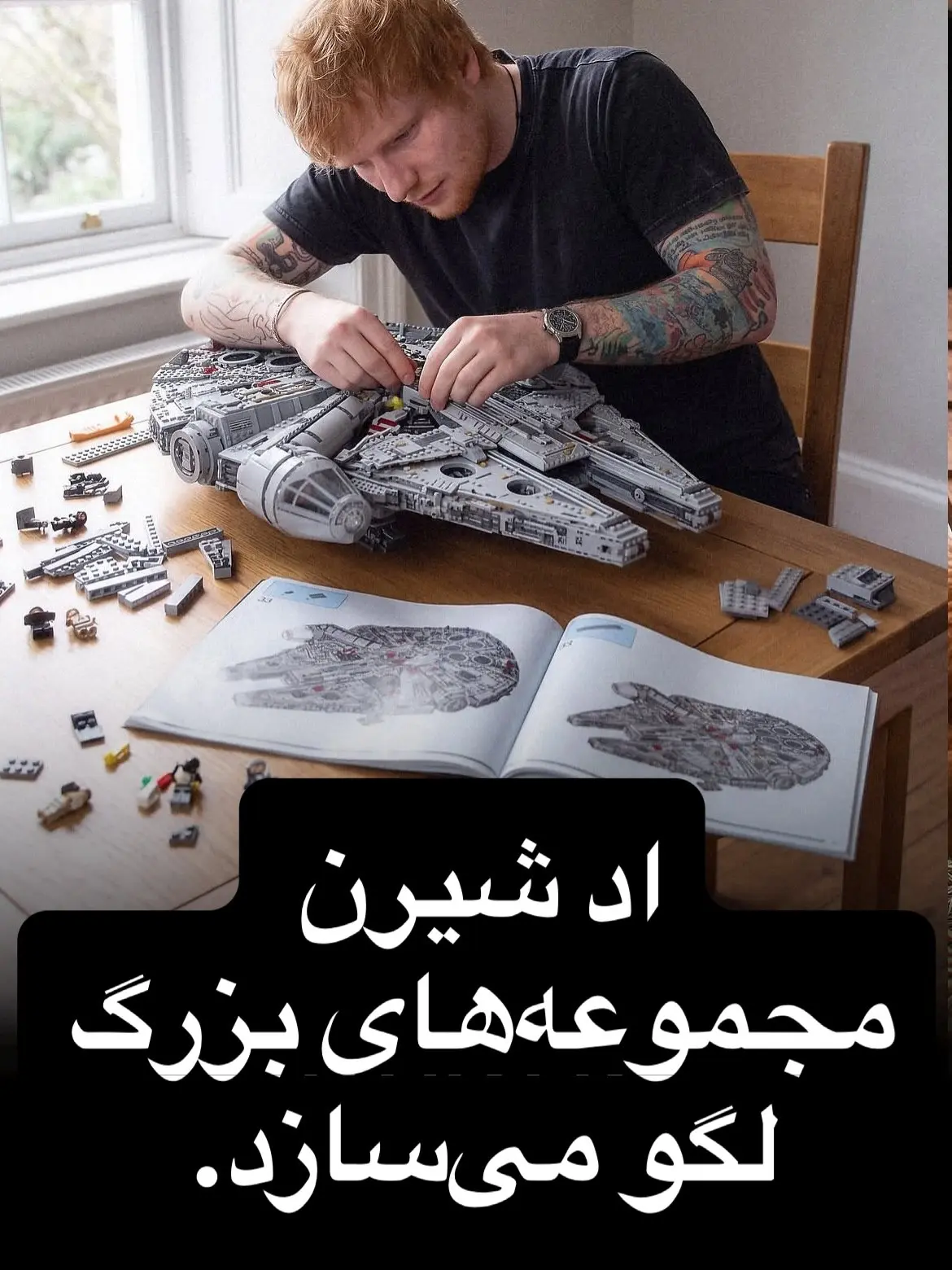 سرگرمی های سلبریتی ها