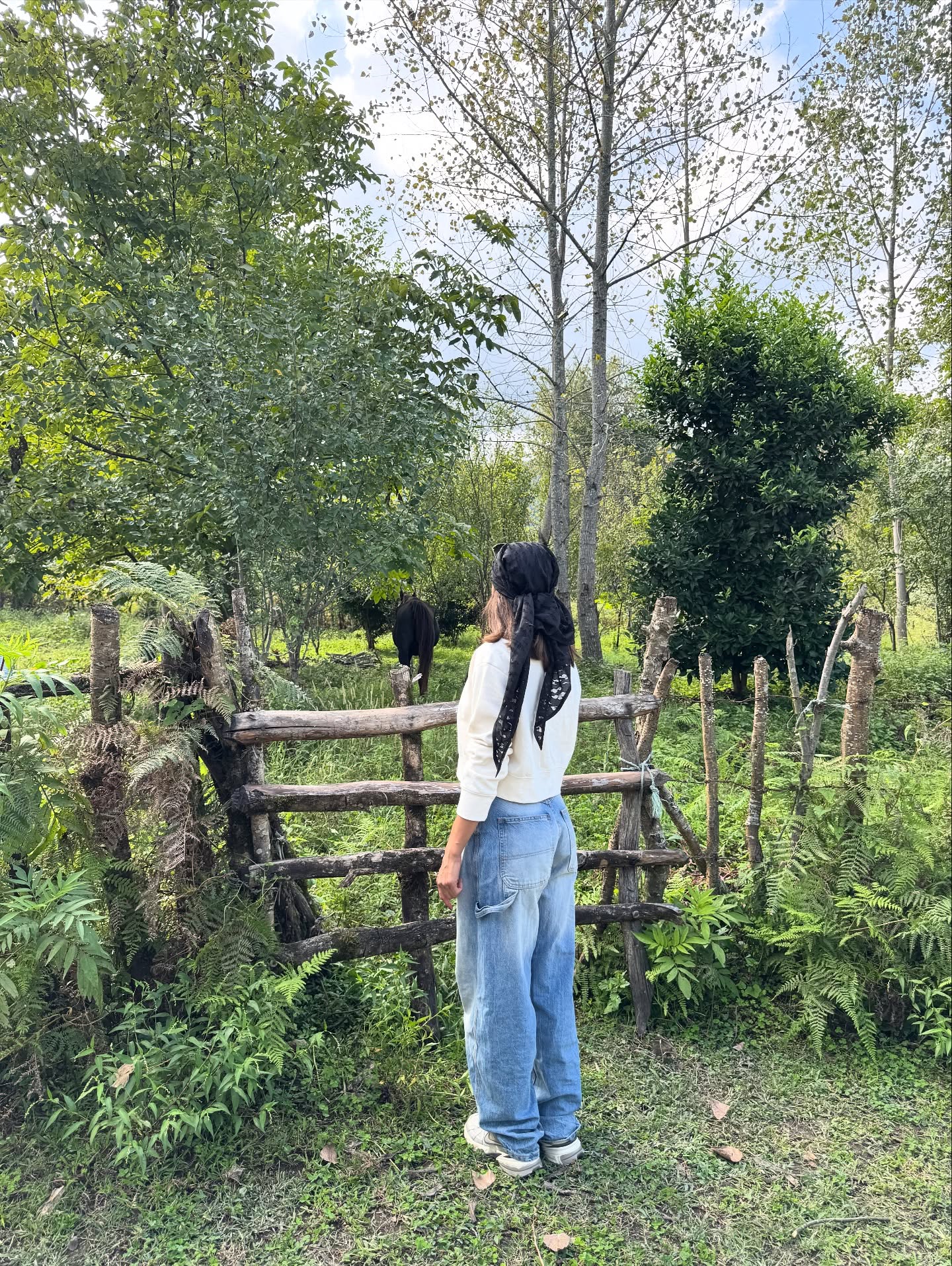 photo_2025-11-05_09-22-16