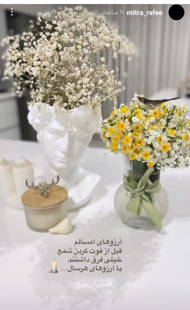 میترا رفیع (3)