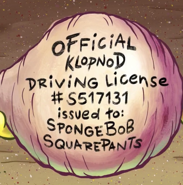 SpongeBob-finally-has-a-drivers-license-2