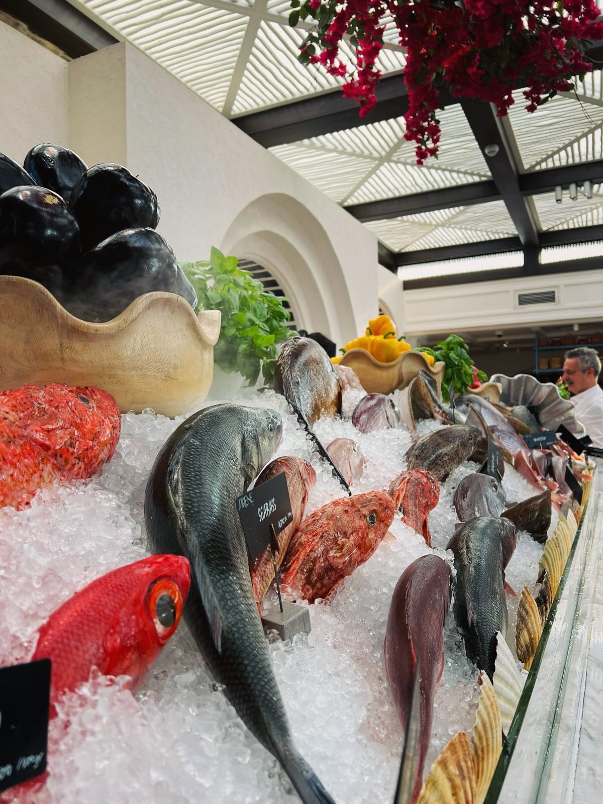 photo_2025-11-05_10-49-43