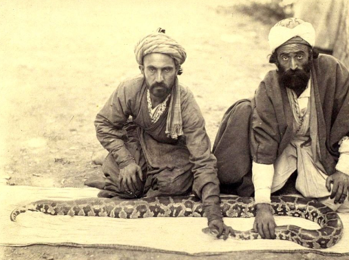 قاجار