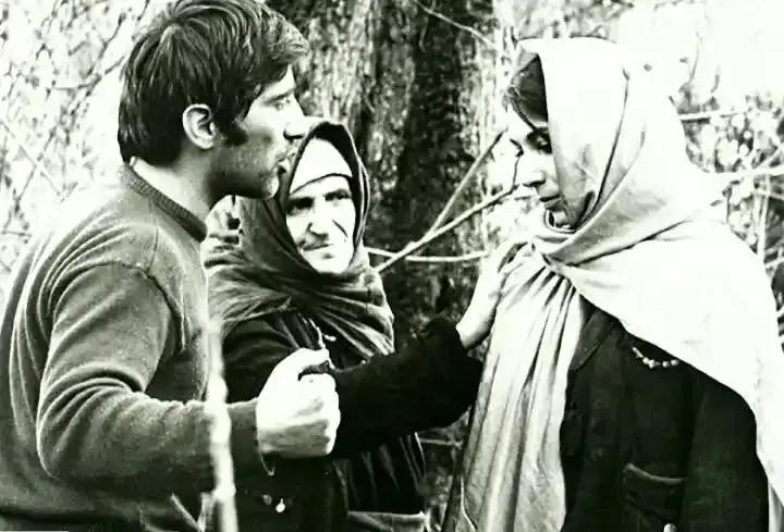 پروانه+معصومی