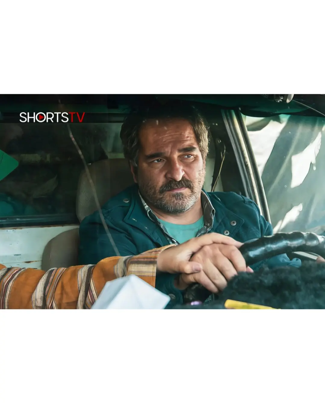 فیلم کوتاه «گوسفند»