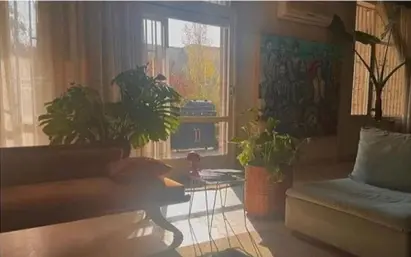 نوید محمدزاده