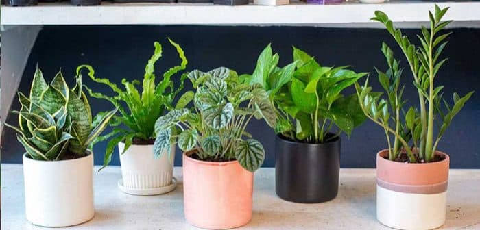 images (1)