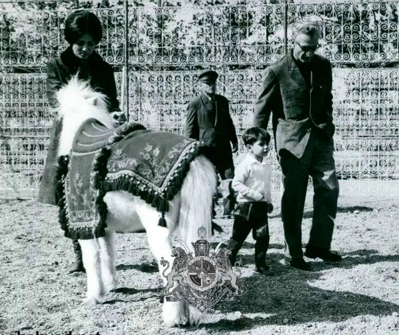 photo_2025-11-13_18-00-11