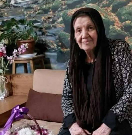 مادرزن امیر جعفری 