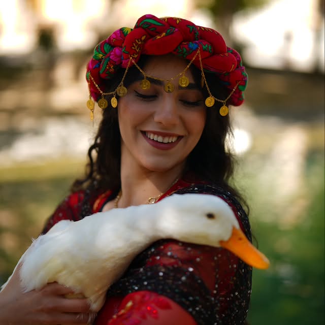 photo_2025-10-29_12-08-39