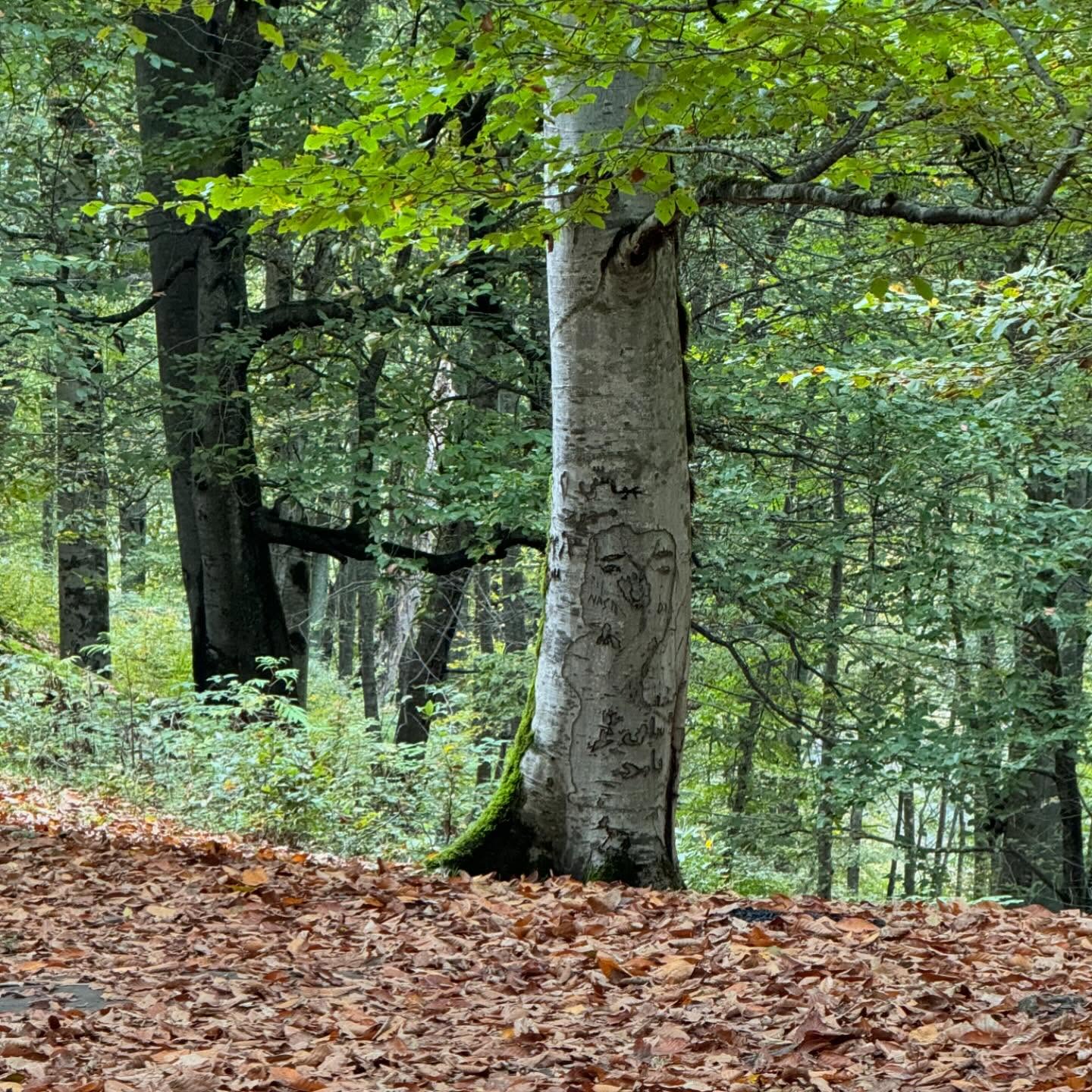 photo_2025-11-07_12-15-04 (2)