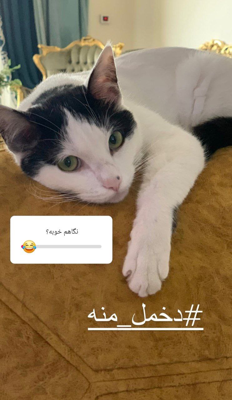 سمیرا