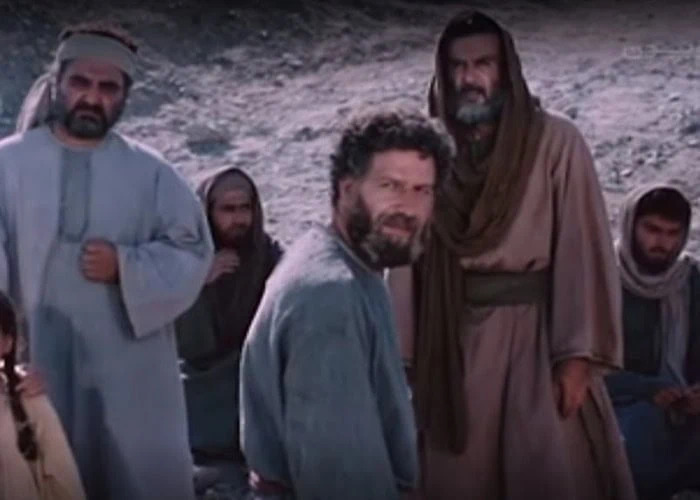 داوود شیخ