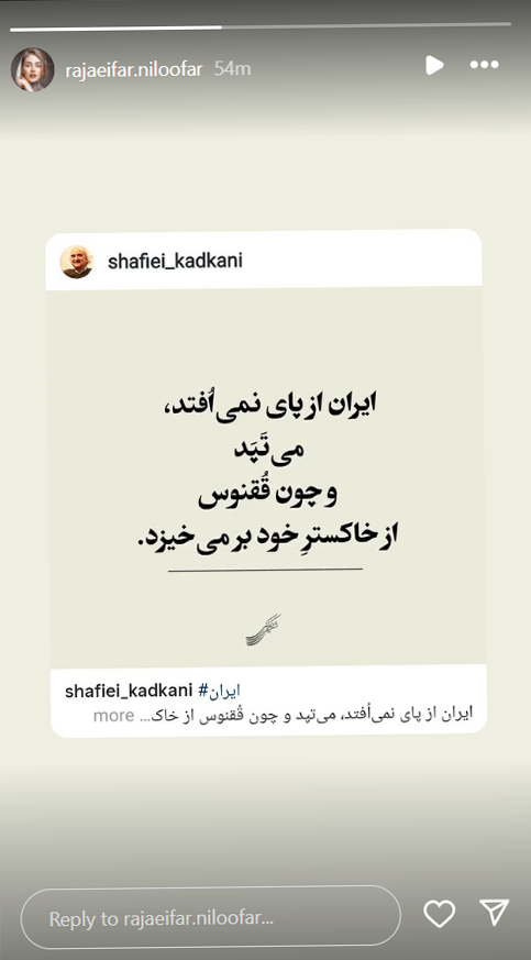 نیلوفر رجایی فر