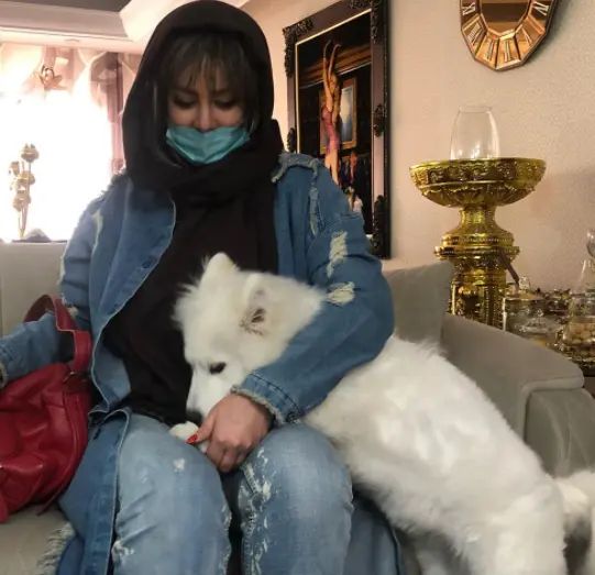 ac-image-5o16145881569o