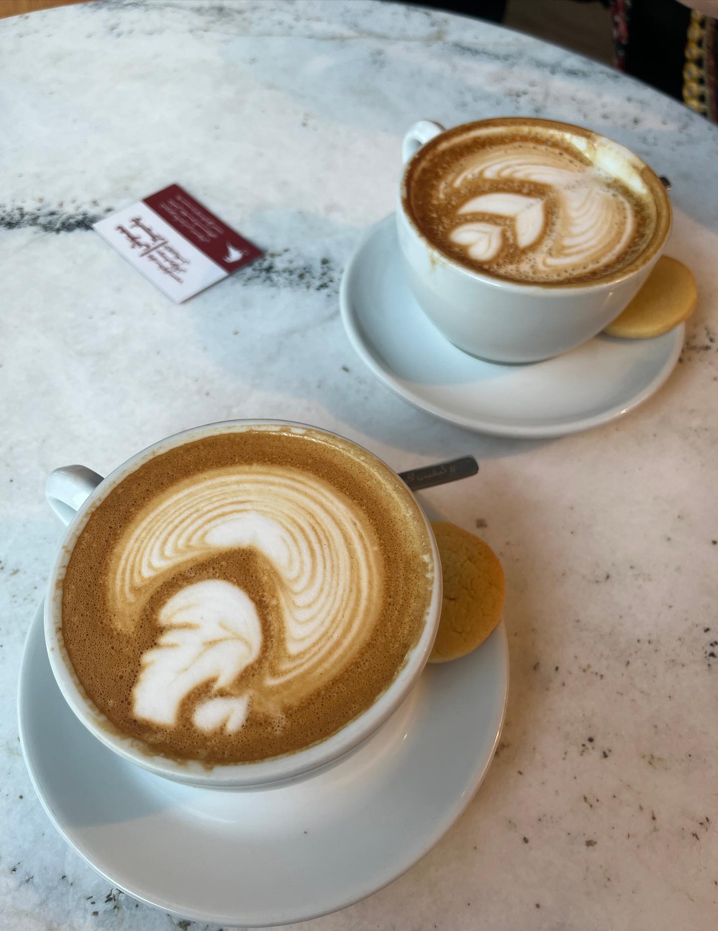 photo_2025-11-12_14-12-30 (2)