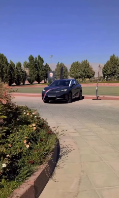 مهران مدیری