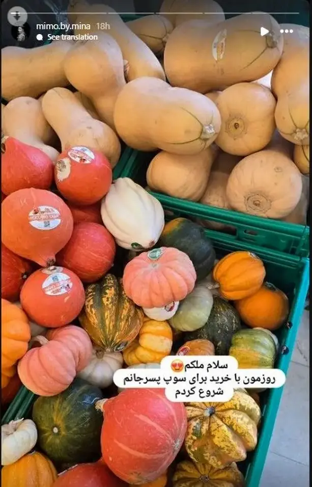 مینا مختاری  (2)